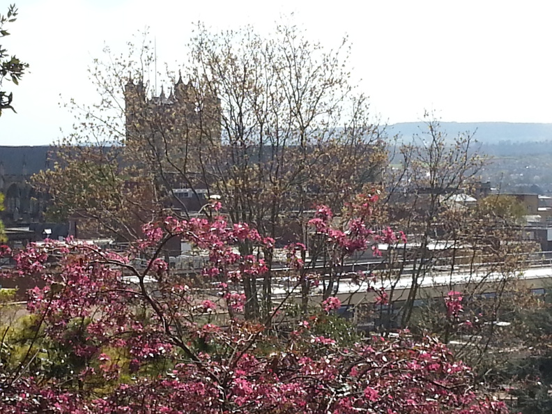 2014-04-13-14_11_00.jpg