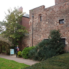 DSC00459