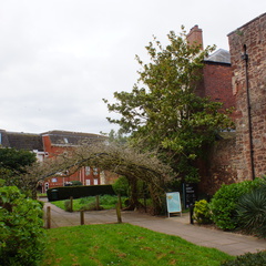 DSC00460