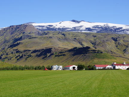 DSC01009