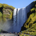DSC01019