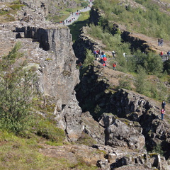 DSC00859