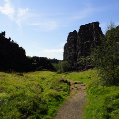 DSC00871
