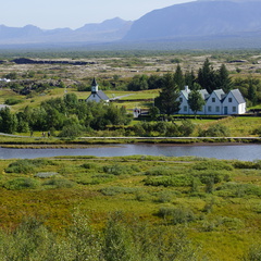 DSC00877