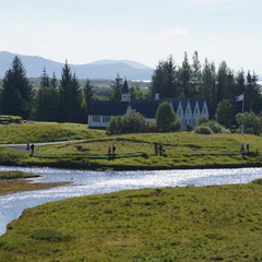 DSC00890