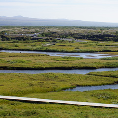 DSC00891