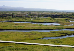 DSC00891
