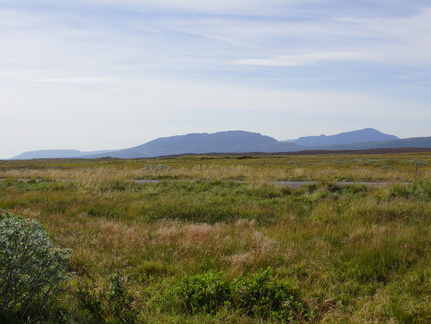 DSC00958
