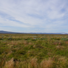 DSC00961