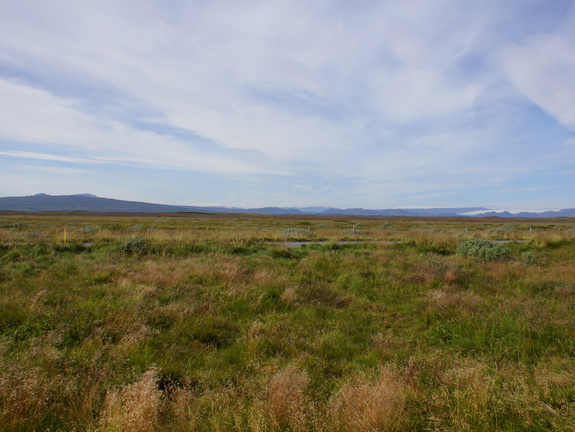 DSC00961