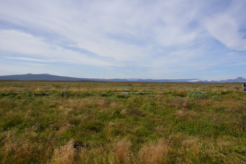DSC00961.jpg