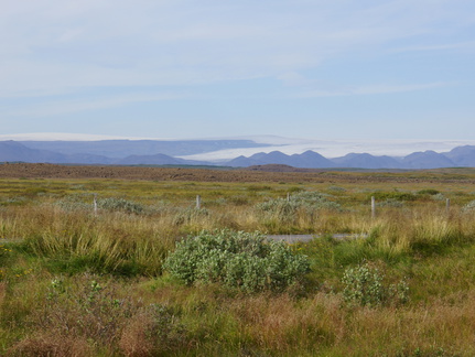 DSC00963
