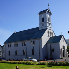 DSC00781