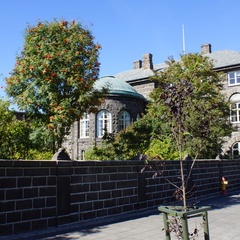 DSC00791