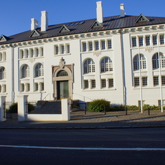 DSC01310