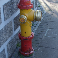 DSC01318