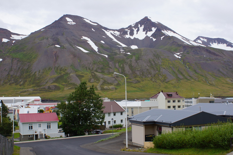DSC01397.jpg