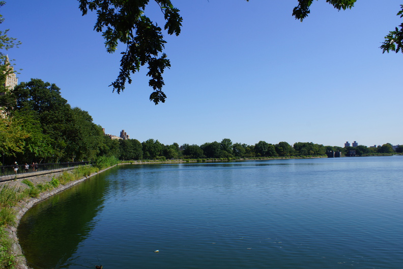 DSC02172-01.jpg