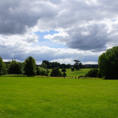 DSC02943