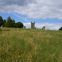 DSC02950