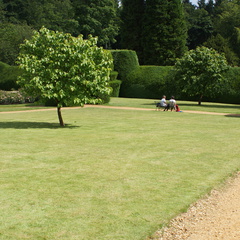 DSC02969