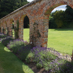 DSC02970