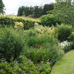 DSC02972