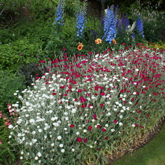 DSC02977