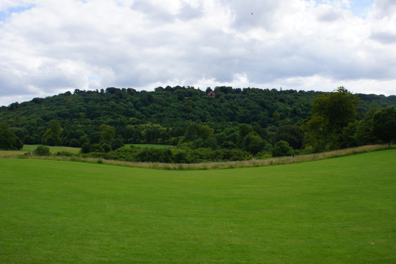 DSC02990.jpg