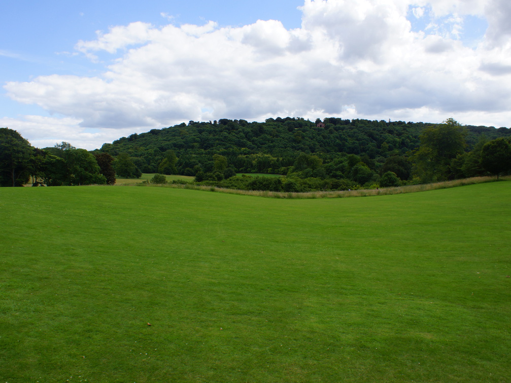 DSC02993