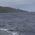 DSC03524