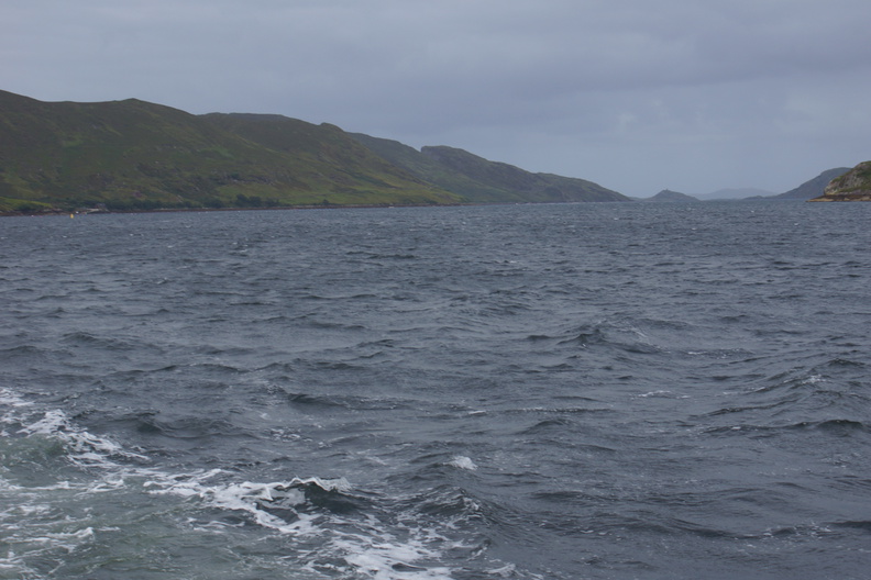 DSC03524.jpg