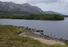 DSC03572