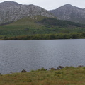 DSC03576