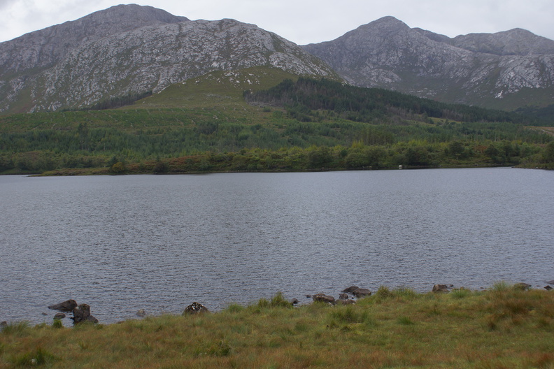 DSC03576.jpg