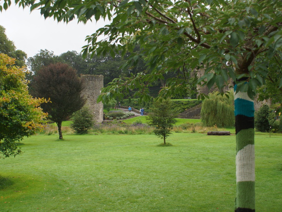 DSC03655