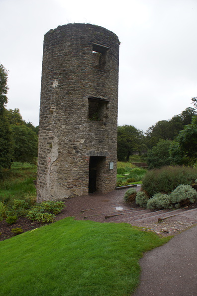 DSC03666.jpg
