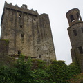 DSC03671