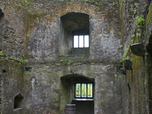 DSC03687