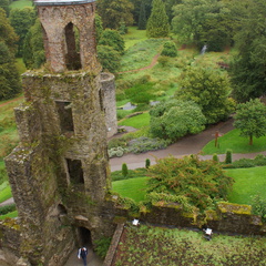 DSC03688