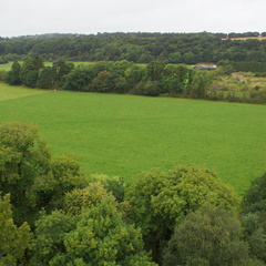 DSC03697
