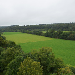 DSC03698