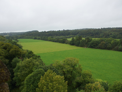 DSC03698