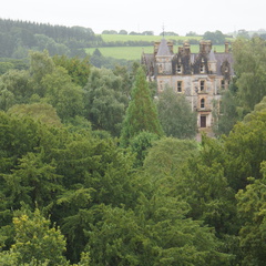 DSC03703
