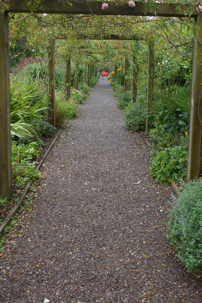 DSC03753.jpg