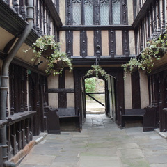 DSC03776