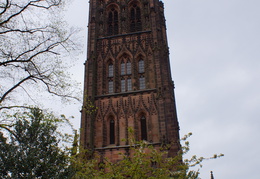 DSC03779