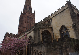 DSC03785