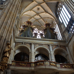 DSC04491