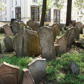 DSC04693